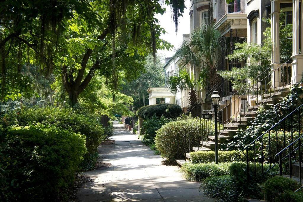 Cozy In Downtown Close To Forsythe Park Apartment